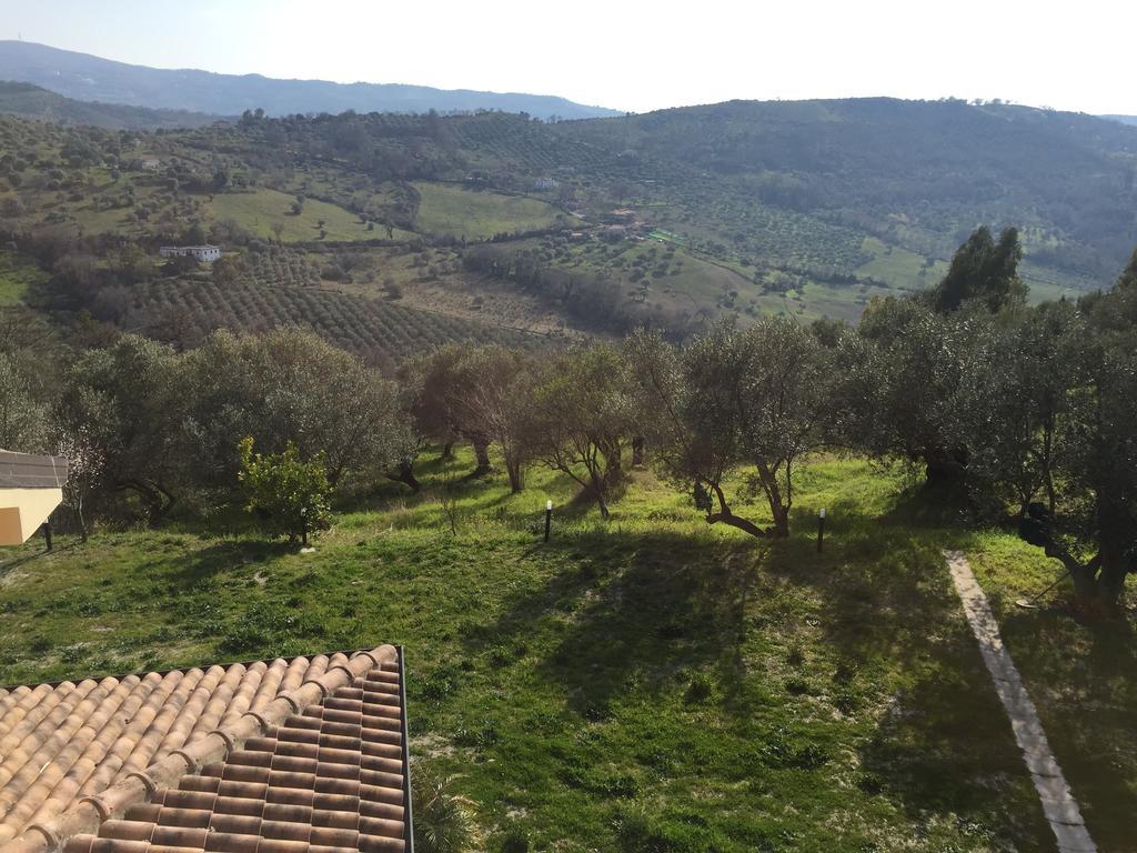 Villa Aquaro Ogliastro Cilento Oda fotoğraf